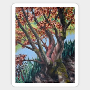 Red Maple Landscape with Water Sticker